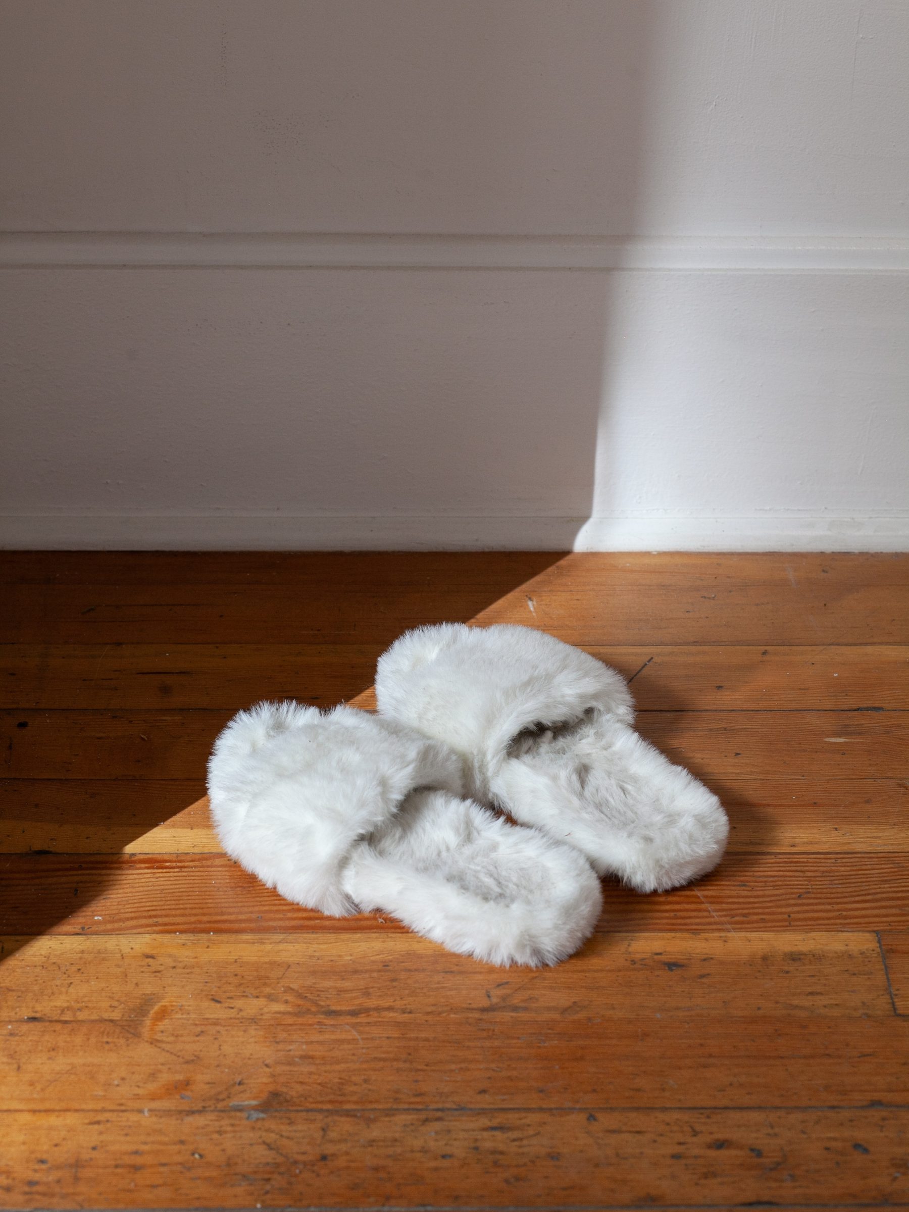 Installation view of I Feel Normal at Echo Arts, Bozeman