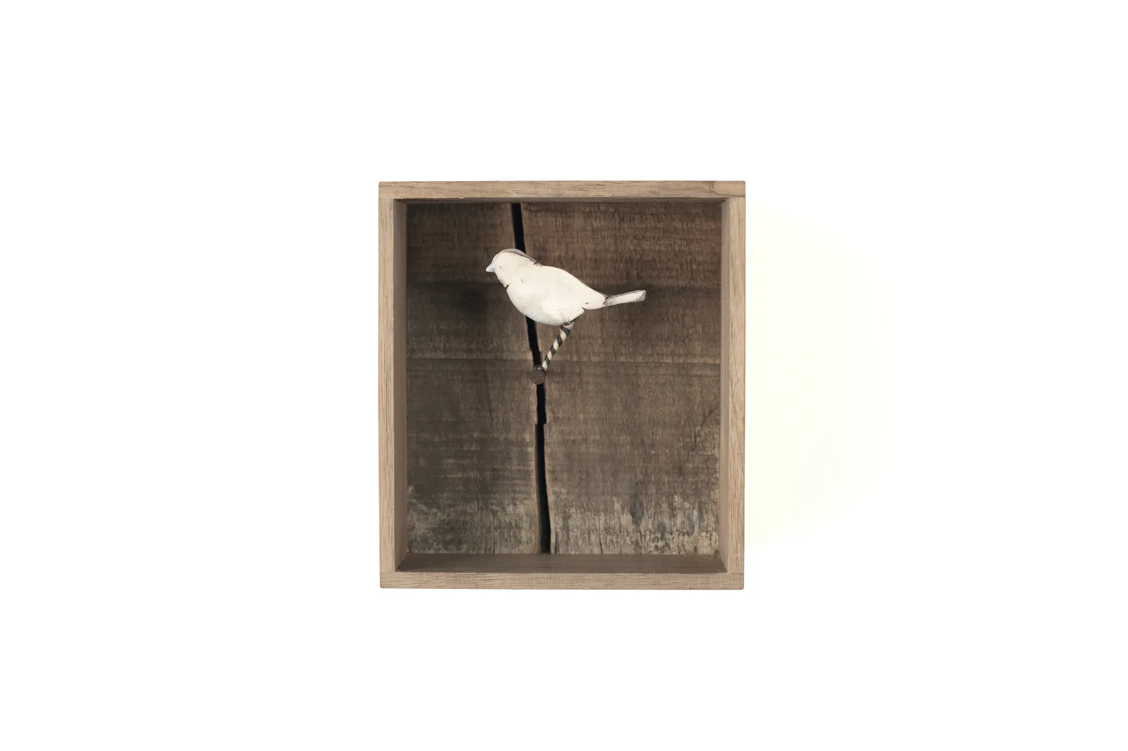 Bird Ghost