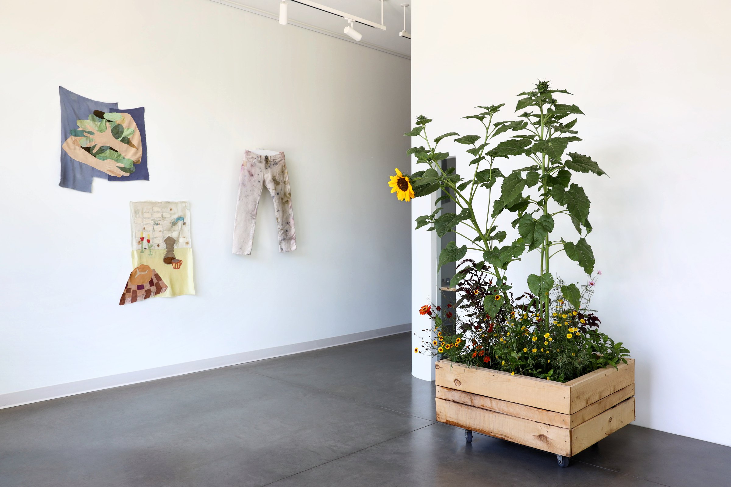 The garden planter beside the north-wall works