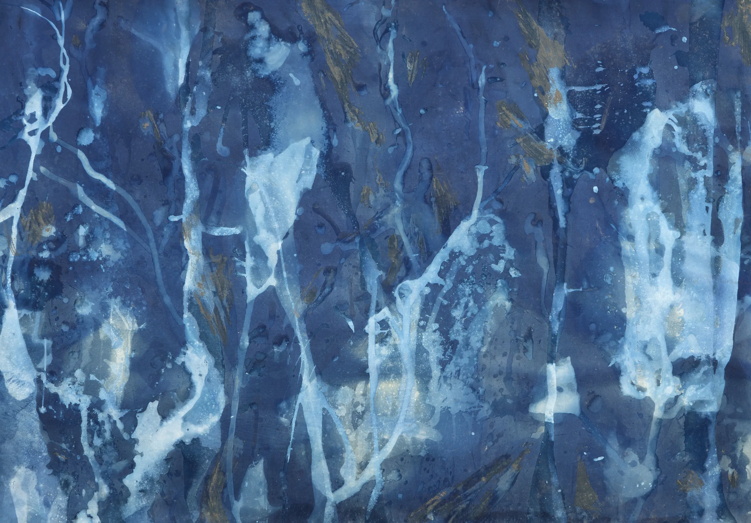 Downwaste (Sperry 2-XI) — cyanotype made with glacial meltwater, detail
