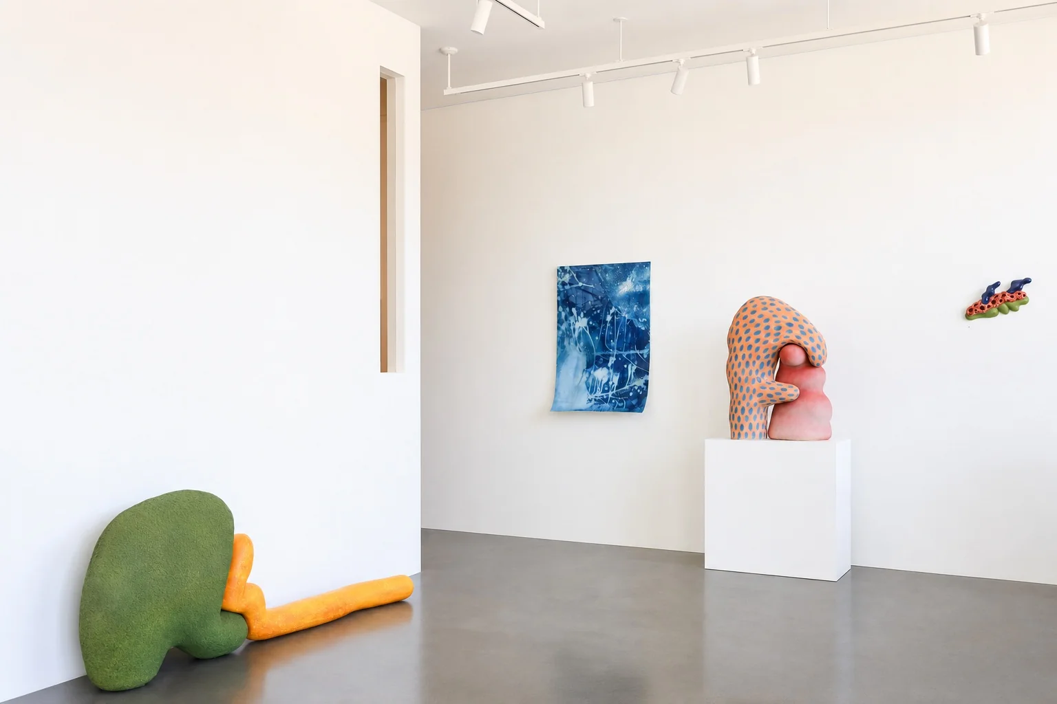 Installation view — Shaping the Edge, Echo Arts