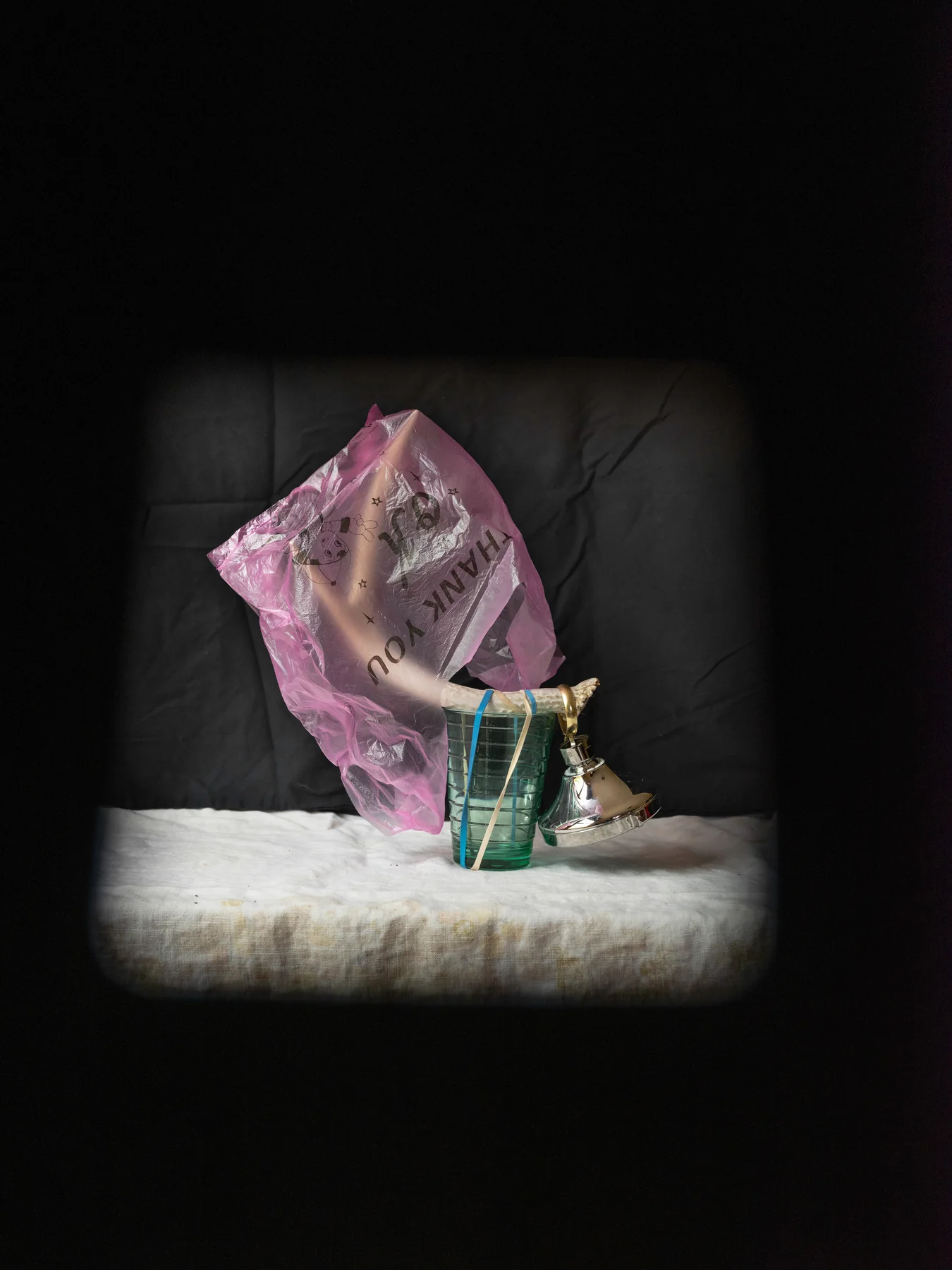 May 24, 2026, 12:08 p.m. — still-life photograph